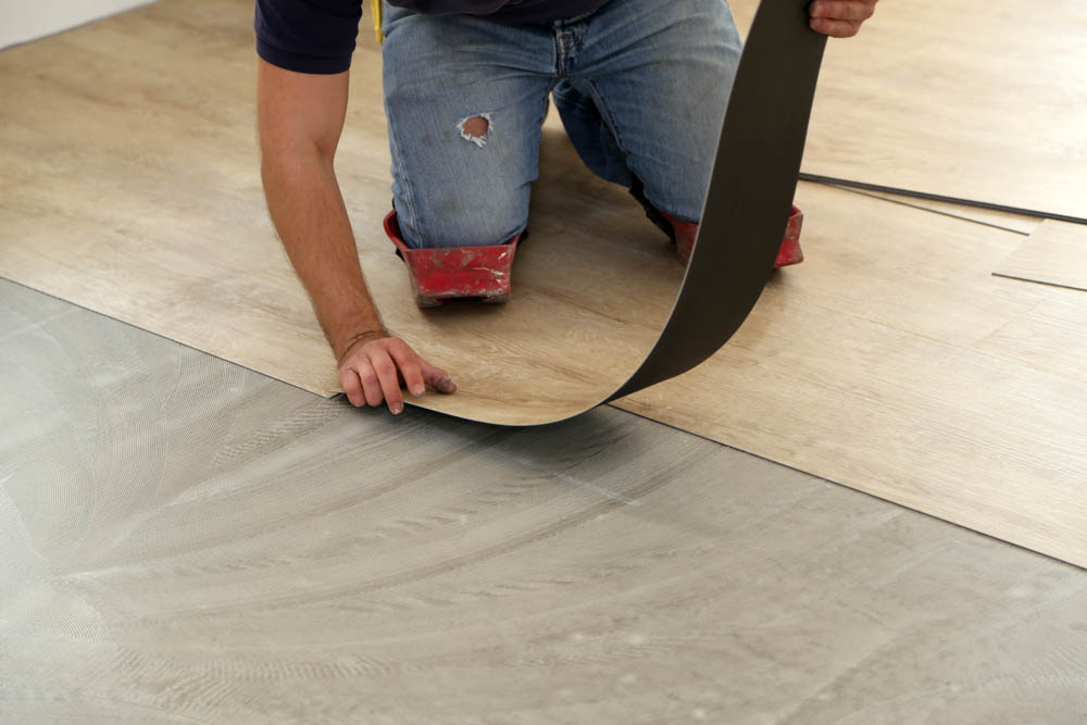 LVT 6