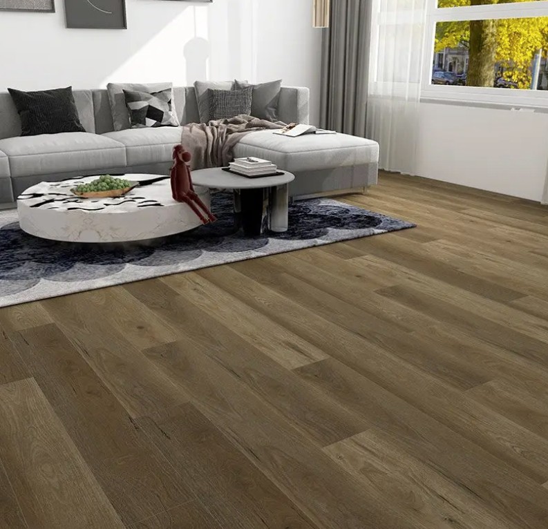 LVT 5
