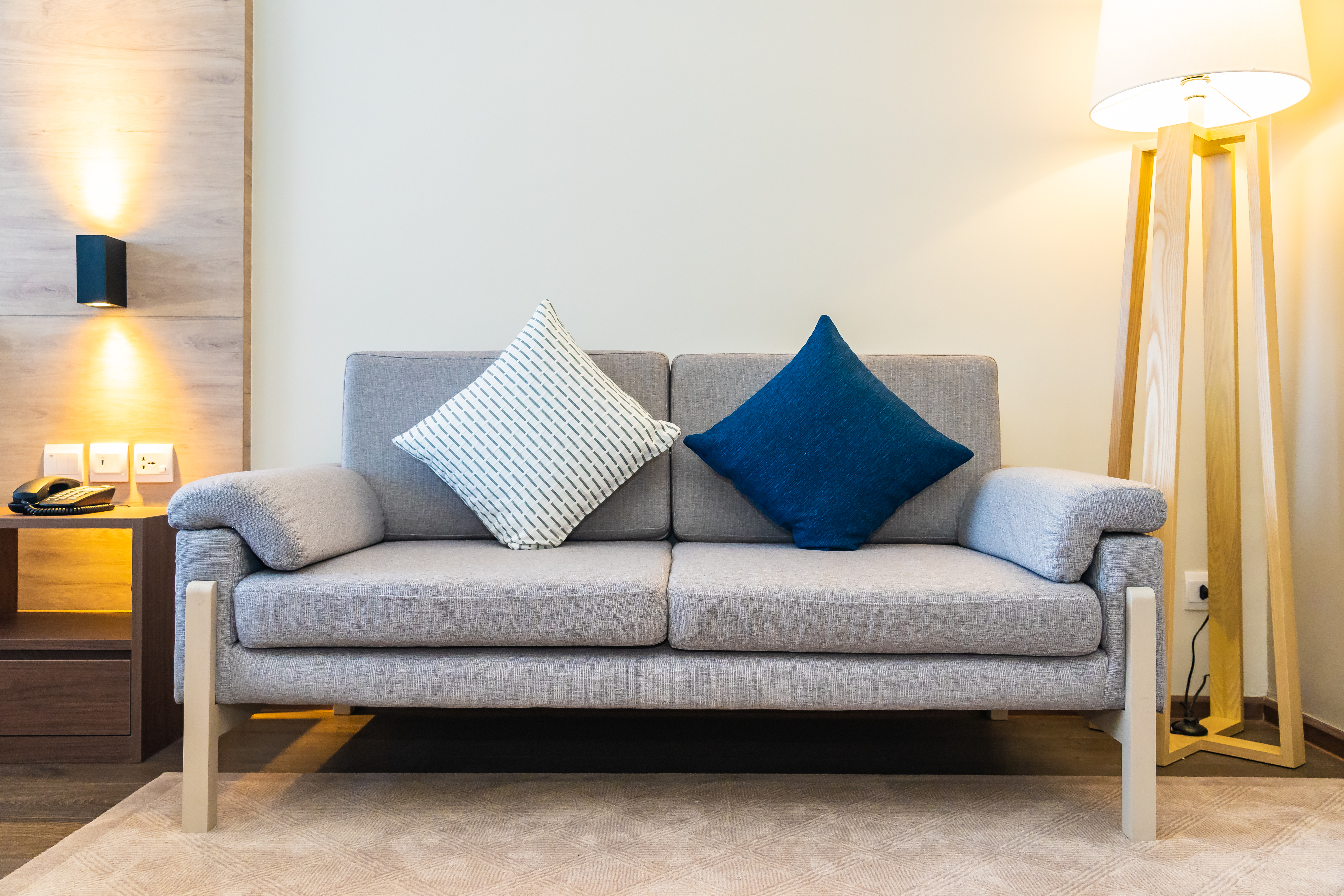 Main Sofa Image